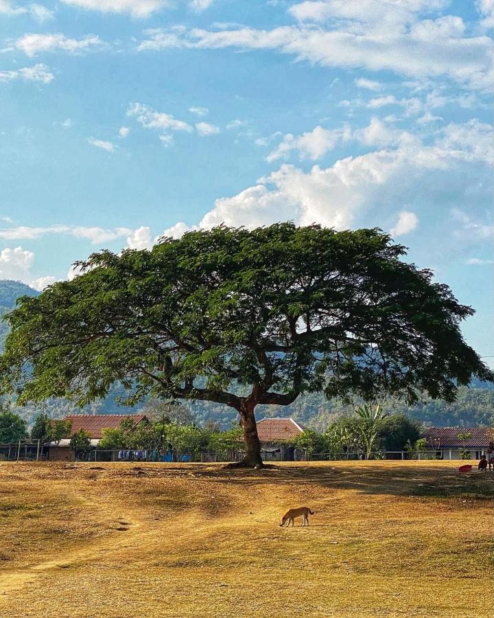 Villa Kiengkham晶康民宿 Luang Prabang Zewnętrze zdjęcie
